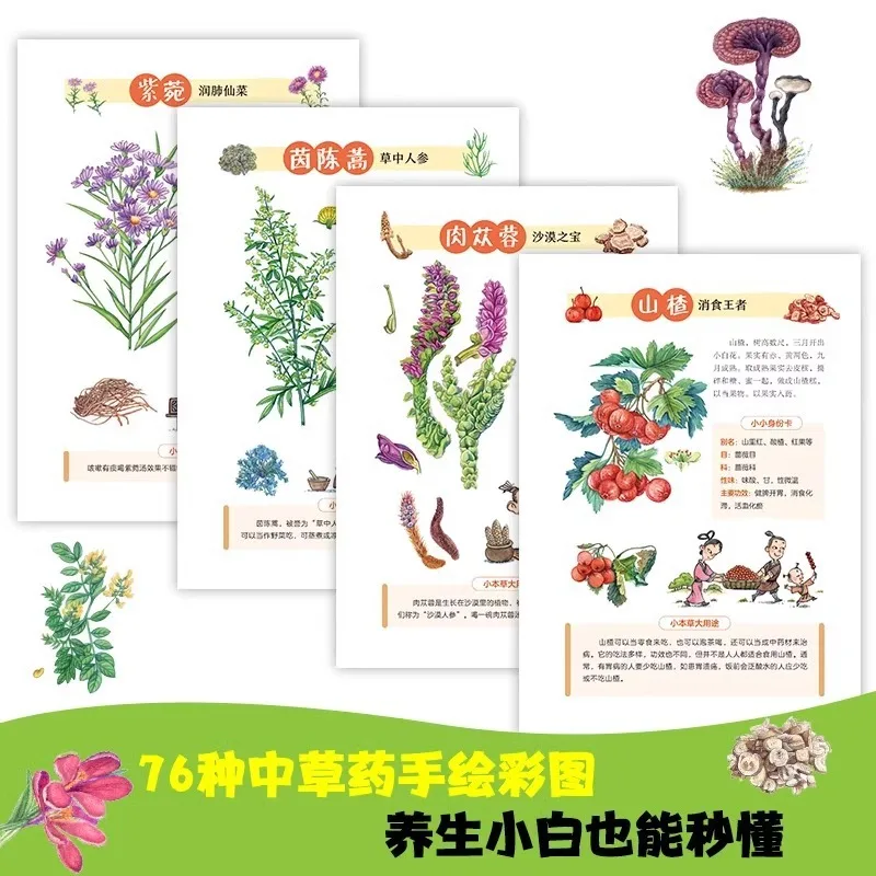 Comic Compendium of Materia Me - Herbal Wellness Book review and price