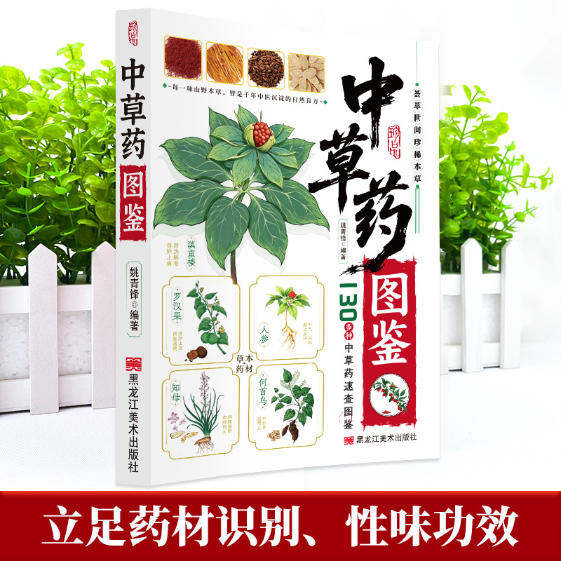 Illustrated Guide  Chinese Her - Herbal Wellness Book review and price