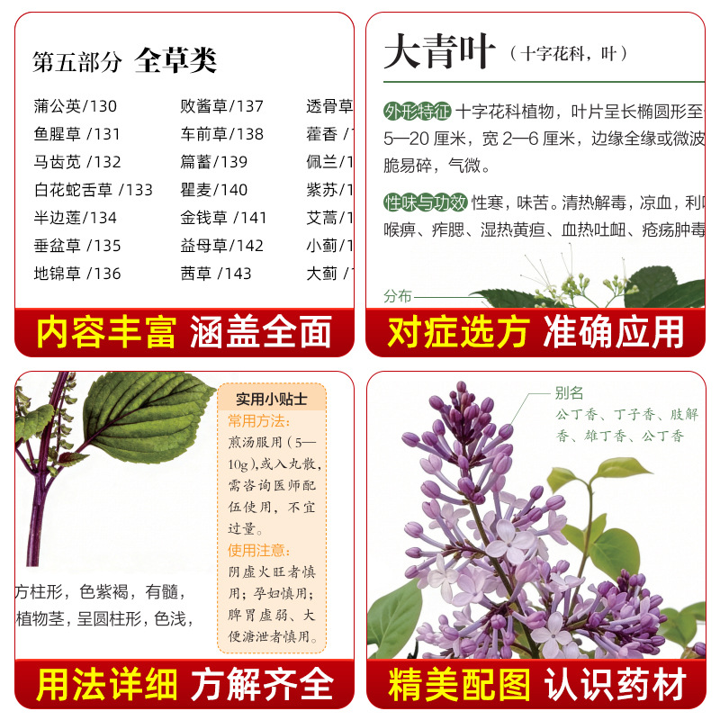 Illustrated Guide  Chinese Her - Herbal Wellness Book review and price